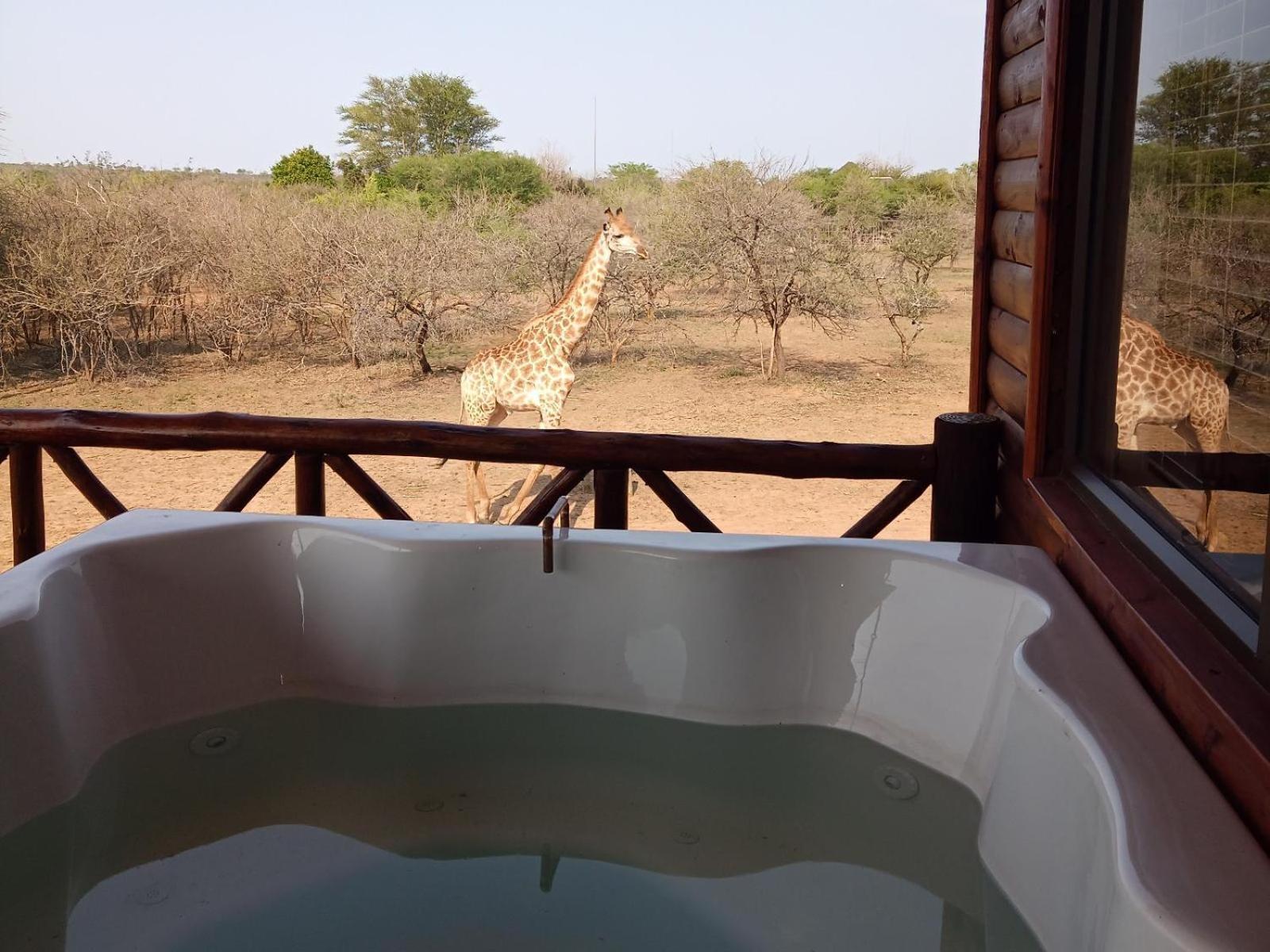 Marloth Kruger View Lägenhet Marloth Park Exteriör bild