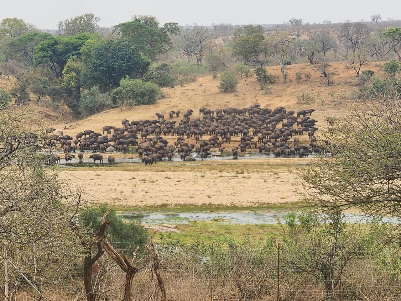 Marloth Kruger View Lägenhet Marloth Park Exteriör bild